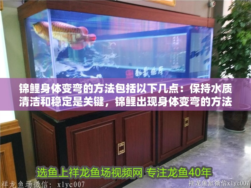 錦鯉身體變彎的方法包括以下幾點：保持水質(zhì)清潔和穩(wěn)定是關(guān)鍵，錦鯉出現(xiàn)身體變彎的方法包括以下幾點：保持水質(zhì)清潔和穩(wěn)定是關(guān)鍵