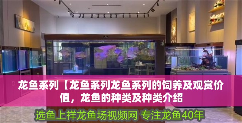 龍魚系列【龍魚系列龍魚系列的飼養及觀賞價值，龍魚的種類及種類介紹