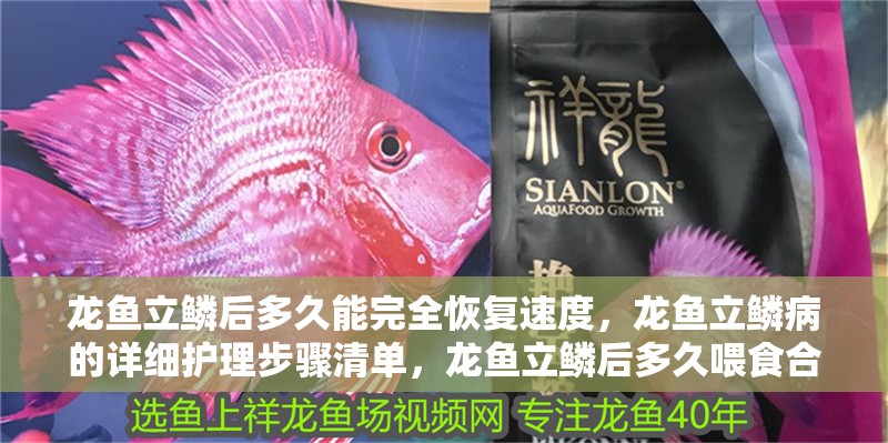 龍魚立鱗后多久能完全恢復速度，龍魚立鱗病的詳細護理步驟清單，龍魚立鱗后多久喂食合適