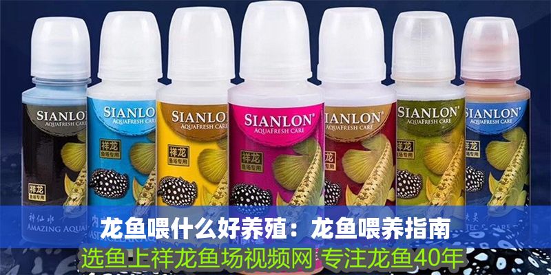 龍魚喂什么好養殖：龍魚喂養指南