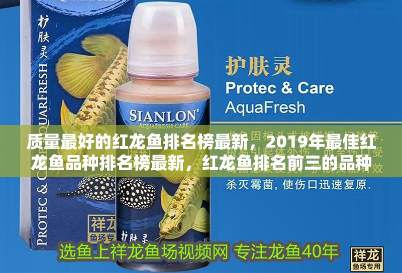 質量最好的紅龍魚排名榜最新，2019年最佳紅龍魚品種排名榜最新，紅龍魚排名前三的品種