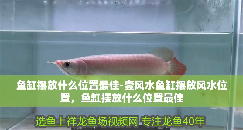 魚缸擺放什么位置最佳-壹風(fēng)水魚缸擺放風(fēng)水位置，魚缸擺放什么位置最佳