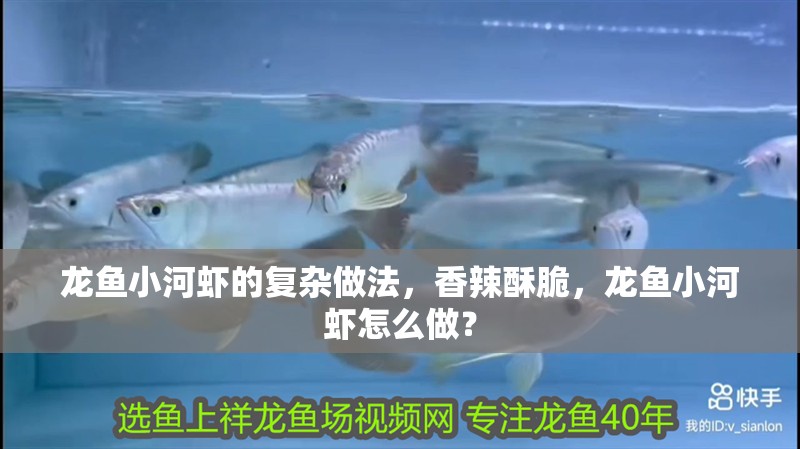 龍魚小河蝦的復雜做法，香辣酥脆，龍魚小河蝦怎么做？ 龍魚小河蝦的復雜做法，香辣酥脆，龍魚小河蝦怎么做？ 龍魚百科 第3張