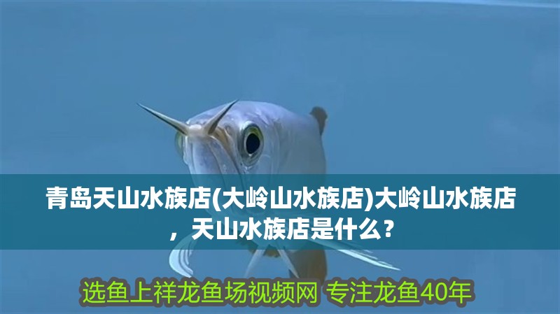 青島天山水族店(大嶺山水族店)大嶺山水族店，天山水族店是什么？