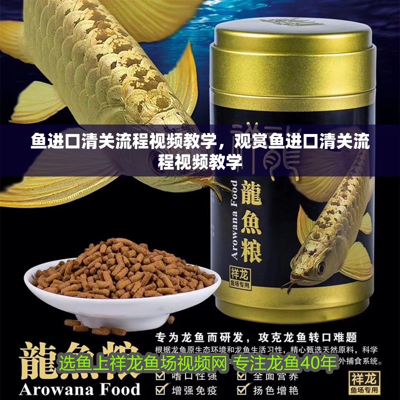 魚進口清關流程視頻教學，觀賞魚進口清關流程視頻教學