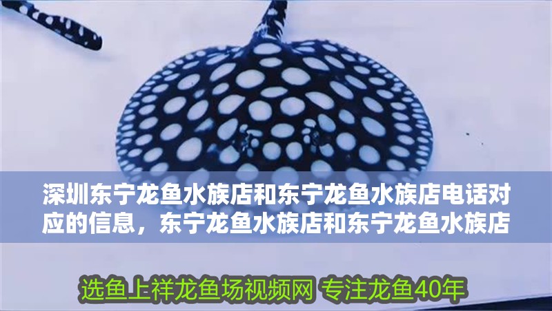 <strong><mark>深圳</mark></strong>東寧龍魚水族店和東寧龍魚水族店電話對應的信息，東寧龍魚水族店和東寧龍魚水族店電話對應的相關信息