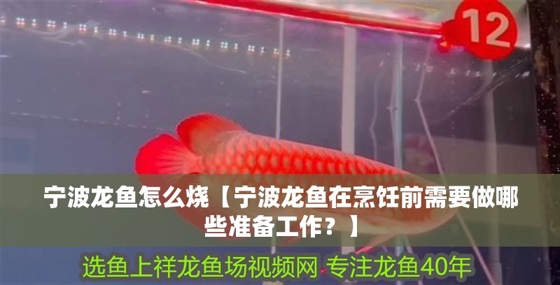 寧波龍魚(yú)怎么燒【寧波龍魚(yú)在烹飪前需要做哪些準(zhǔn)備工作？】