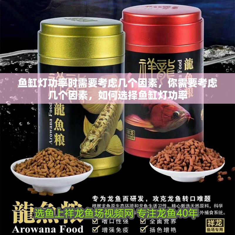 魚缸燈功率時需要考慮幾個因素，你需要考慮幾個因素，如何選擇魚缸燈功率