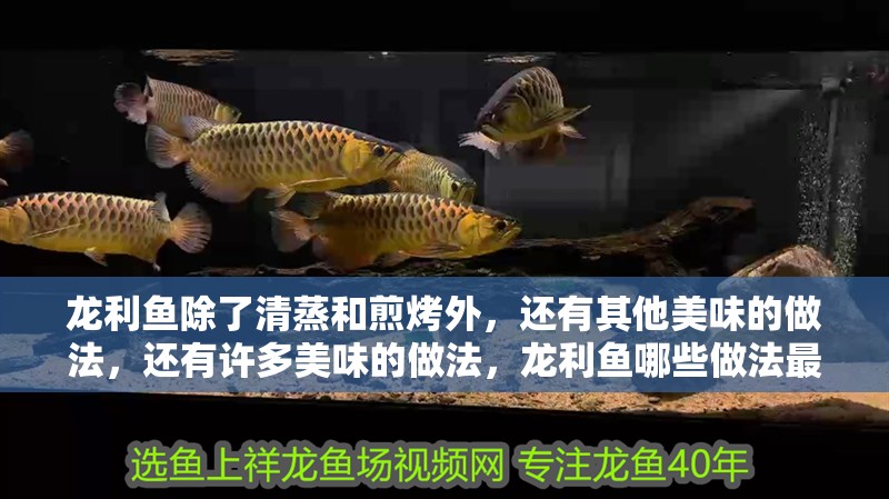 龍利魚除了清蒸和煎烤外，還有其他美味的做法，還有許多美味的做法，龍利魚哪些做法最受歡迎