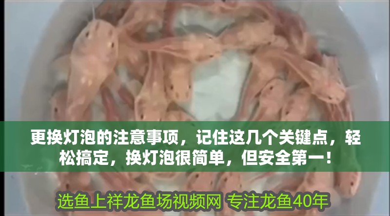 更換燈泡的注意事項，記住這幾個關鍵點，輕松搞定，換燈泡很簡單，但安全第一！ 更換燈泡的注意事項，記住這幾個關鍵點，輕松搞定，換燈泡很簡單，但安全第一！ 龍魚百科