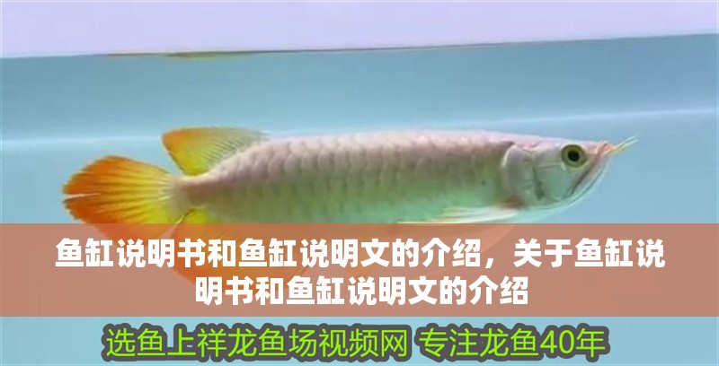 魚缸說明書和魚缸說明文的介紹，關于魚缸說明書和魚缸說明文的介紹