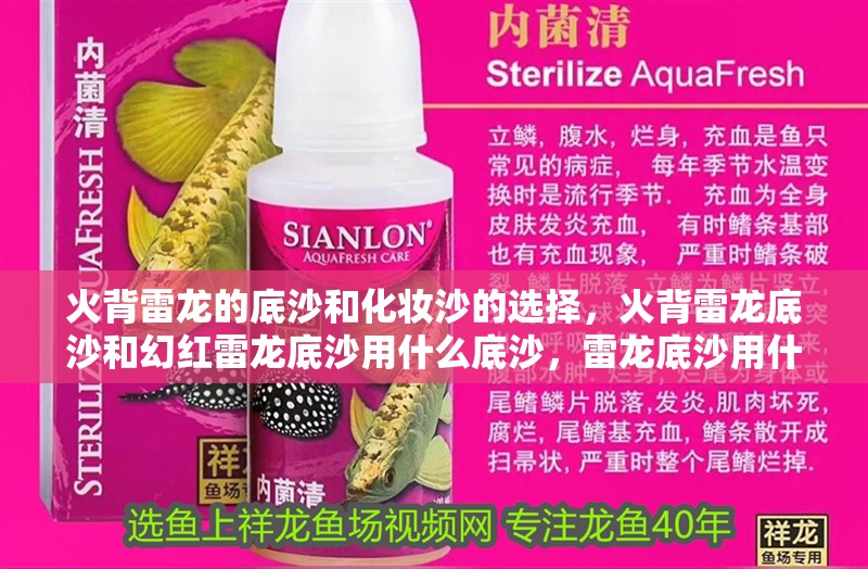 火背雷龍的底沙和化妝沙的選擇，火背雷龍底沙和幻紅雷龍底沙用什么底沙，雷龍底沙用什么底沙