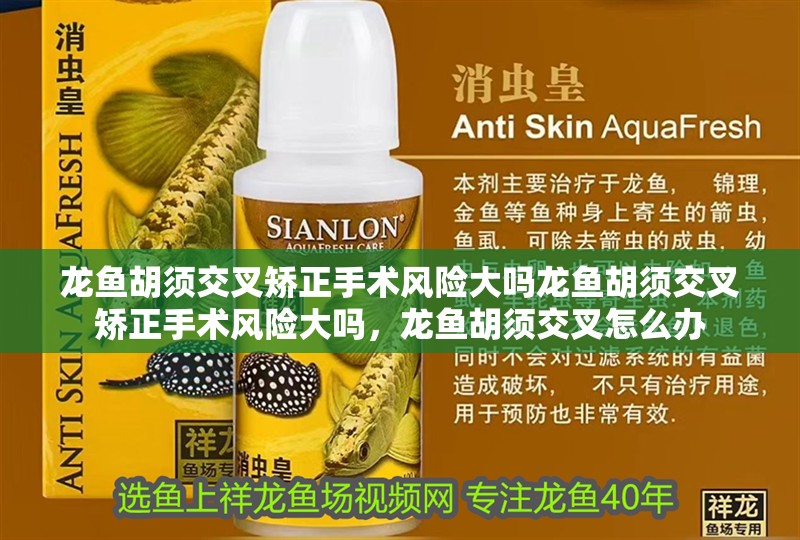 龍魚胡須交叉矯正手術風險大嗎龍魚胡須交叉矯正手術風險大嗎，龍魚胡須交叉怎么辦