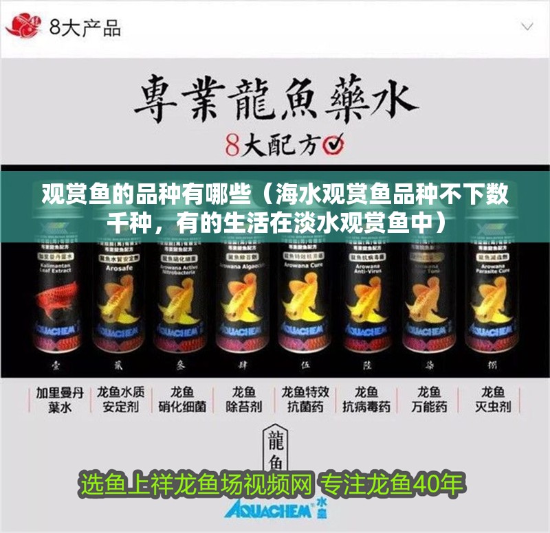 觀賞魚的品種有哪些（海水觀賞魚品種不下數(shù)千種，有的生活在淡水觀賞魚中）