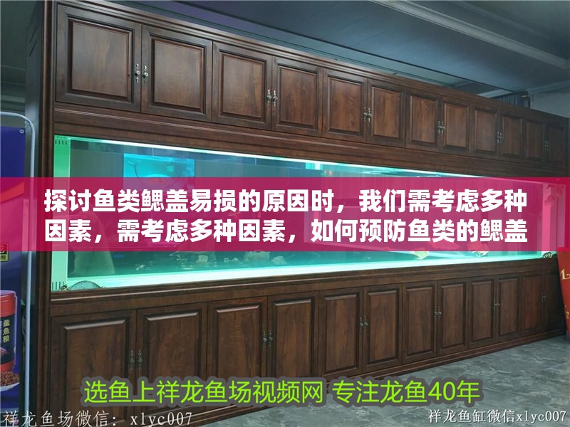 探討魚類鰓蓋易損的原因時，我們需考慮多種因素，需考慮多種因素，如何預防魚類的鰓蓋缺損？