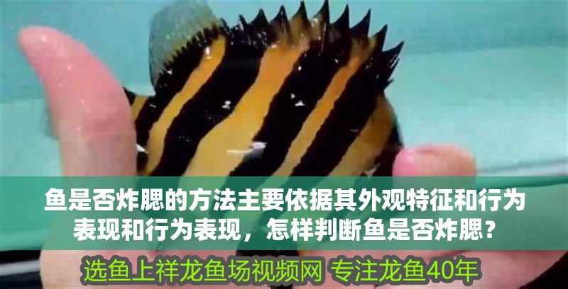 魚是否炸腮的方法主要依據其外觀特征和行為表現和行為表現，怎樣判斷魚是否炸腮？