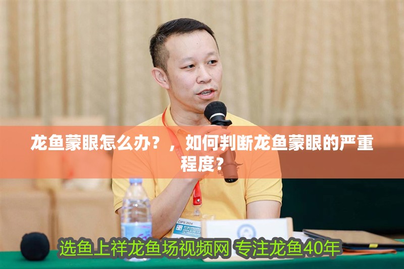 龍魚蒙眼怎么辦？，如何判斷龍魚蒙眼的嚴重程度？