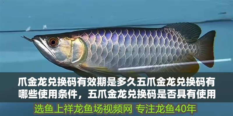 爪金龍兌換碼有效期是多久五爪金龍兌換碼有哪些使用條件，五爪金龍兌換碼是否具有使用限制