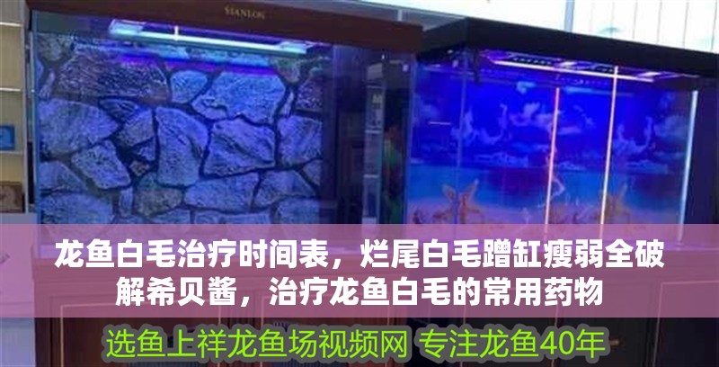 龍魚(yú)白毛治療時(shí)間表，爛尾白毛蹭缸瘦弱全破解希貝醬，治療龍魚(yú)白毛的常用藥物