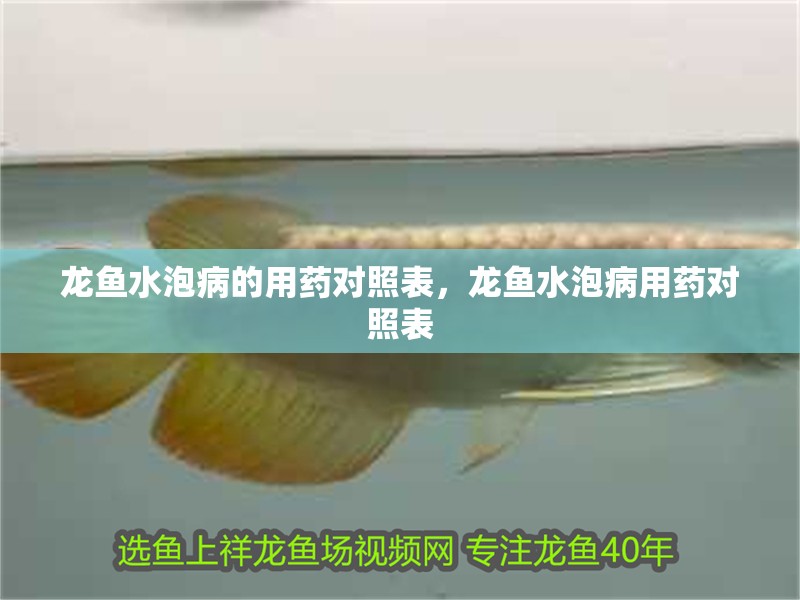 龍魚(yú)水泡病的用藥對(duì)照表，龍魚(yú)水泡病用藥對(duì)照表