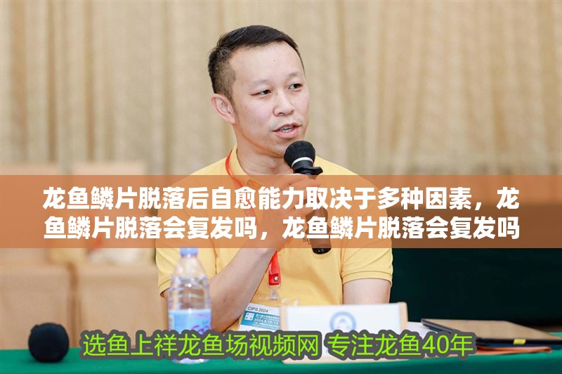 龍魚鱗片脫落后自愈能力取決于多種因素，龍魚鱗片脫落會(huì)復(fù)發(fā)嗎，龍魚鱗片脫落會(huì)復(fù)發(fā)嗎