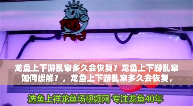 龍魚上下游亂竄多久會(huì)恢復(fù)？龍魚上下游亂竄如何緩解？，龍魚上下游亂竄多久會(huì)恢復(fù)，