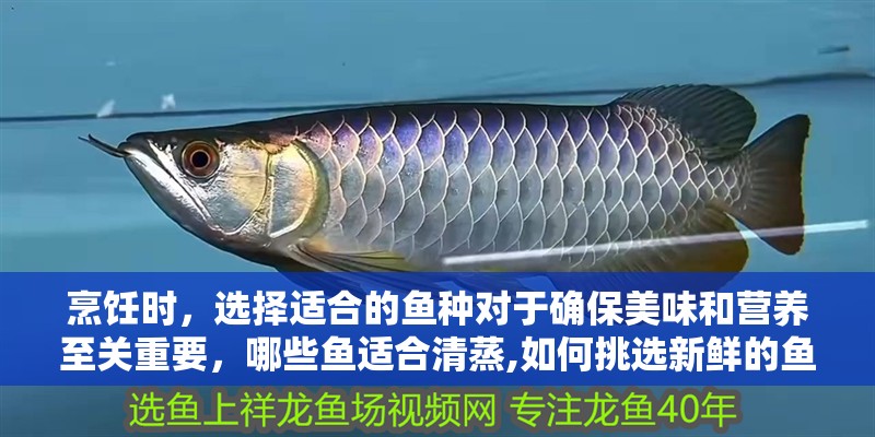 烹飪時，選擇適合的魚種對于確保美味和營養至關重要，哪些魚適合清蒸,如何挑選新鮮的魚？