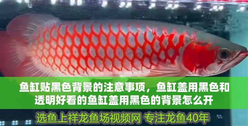 魚缸貼黑色背景的注意事項，魚缸蓋用黑色和透明好看的魚缸蓋用黑色的背景怎么開