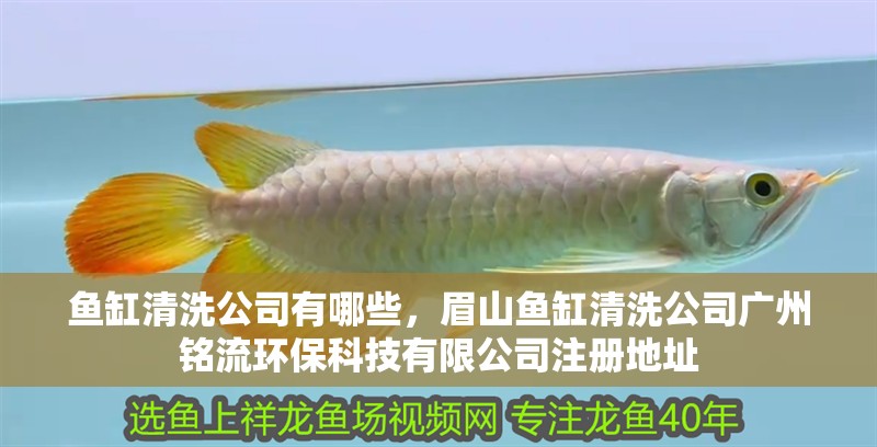 魚缸清洗公司有哪些，眉山魚缸清洗公司廣州銘流環保科技有限公司注冊地址
