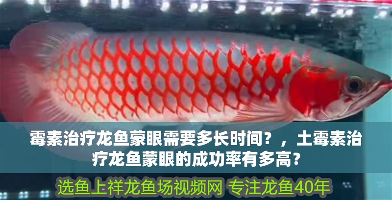 霉素治療龍魚蒙眼需要多長時間？，土霉素治療龍魚蒙眼的成功率有多高？