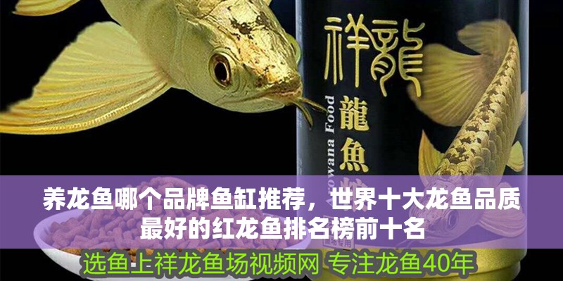 養龍魚哪個品牌魚缸推薦，世界十大龍魚品質最好的紅龍魚排名榜前十名