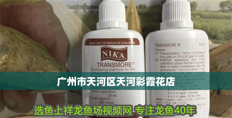 廣州市天河區天河彩霞花店