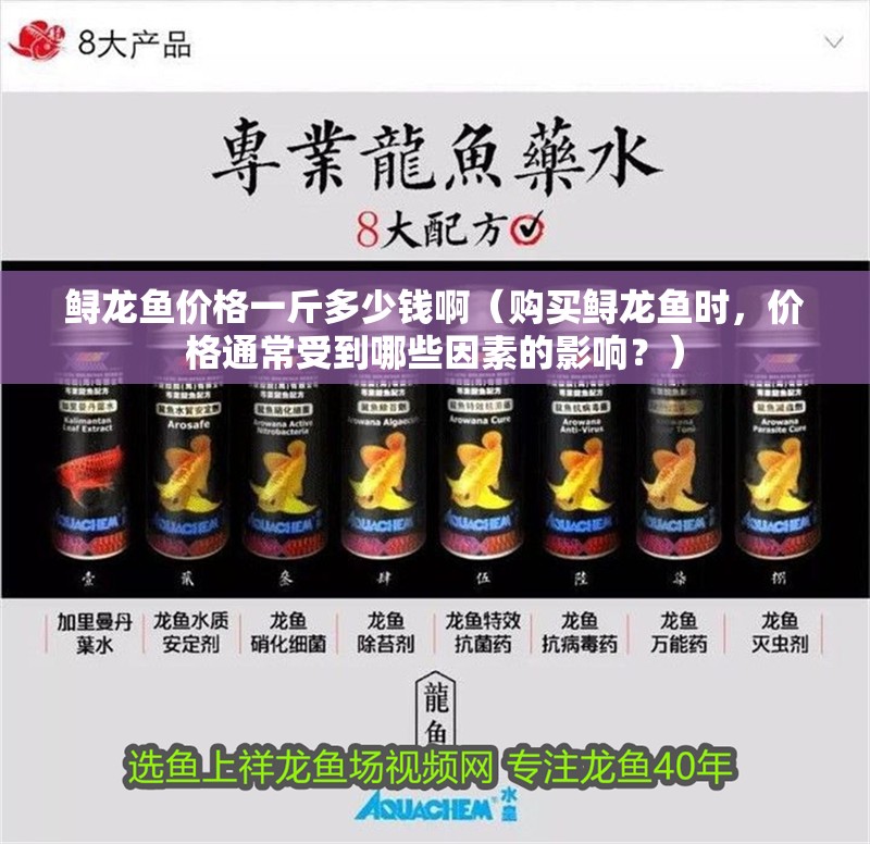 鱘龍魚價格一斤多少錢啊（購買鱘龍魚時，價格通常受到哪些因素的影響？）