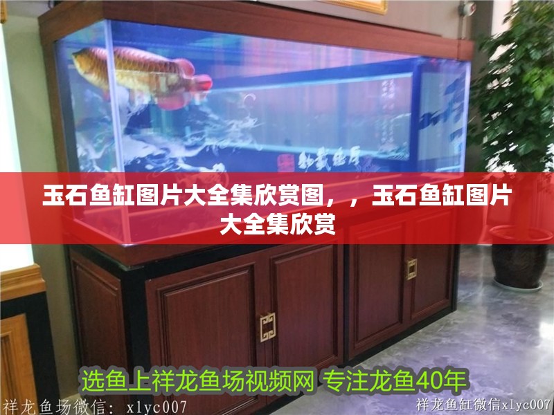 玉石魚缸圖片大全集欣賞圖，，玉石魚缸圖片大全集欣賞