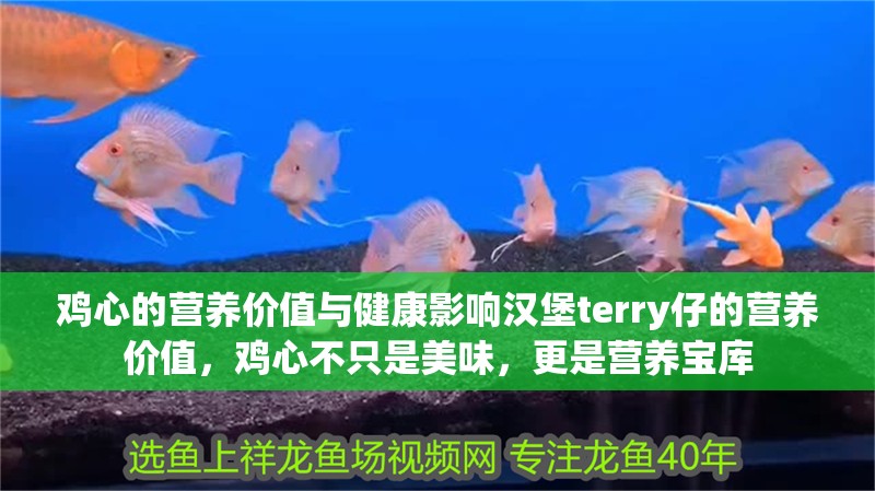 雞心的營養價值與健康影響漢堡terry仔的營養價值，雞心不只是美味，更是營養寶庫