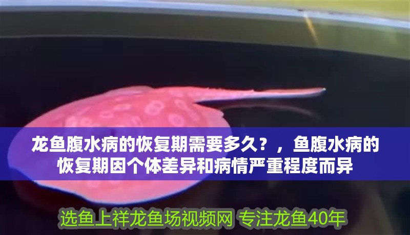 龍魚(yú)腹水病的恢復(fù)期需要多久？，魚(yú)腹水病的恢復(fù)期因個(gè)體差異和病情嚴(yán)重程度而異