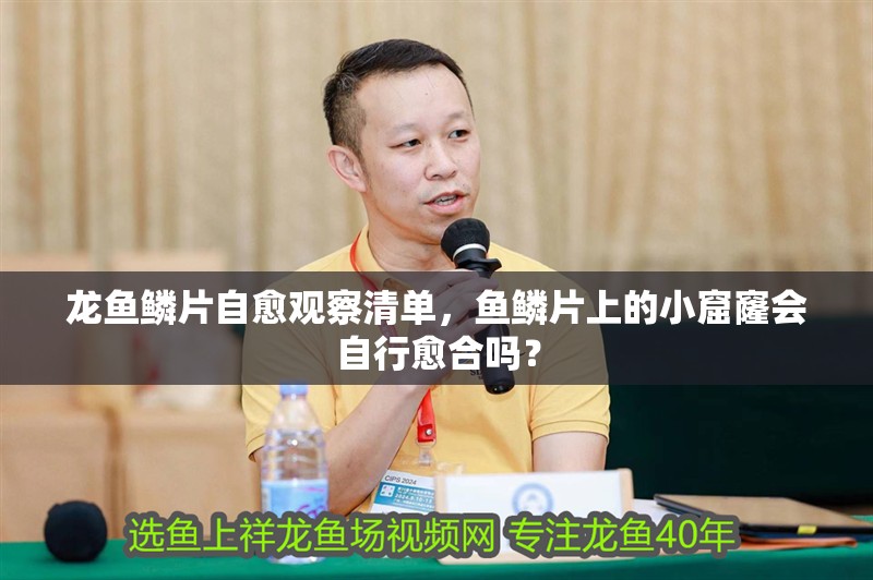 龍魚鱗片自愈觀察清單，魚鱗片上的小窟窿會自行愈合嗎？