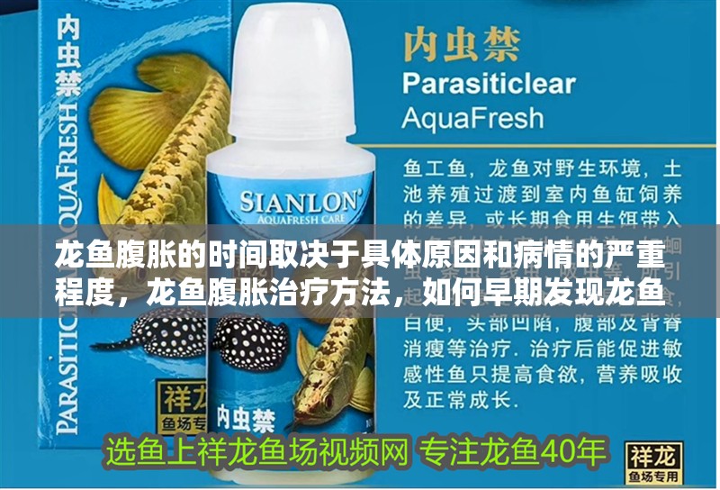 龍魚腹脹的時間取決于具體原因和病情的嚴重程度,龍魚腹脹治療方法,如何早期發現龍魚腹脹? 龍魚百科 第3張 龍魚腹脹的時間取決于具體原因和病情的嚴重程度,龍魚腹脹治療方法,如何早期發現龍魚腹脹? 龍魚腹脹的時間取決于具體原因和病情的嚴重程度,龍魚腹脹治療方法,如何早期發現龍魚腹脹? 龍魚百科 第3張