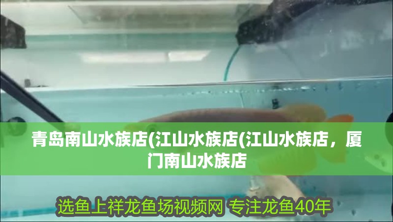 青島南山水族店(江山水族店(江山水族店，廈門南山水族店