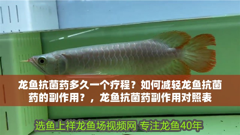 龍魚(yú)抗菌藥多久一個(gè)療程？如何減輕龍魚(yú)抗菌藥的副作用？，龍魚(yú)抗菌藥副作用對(duì)照表