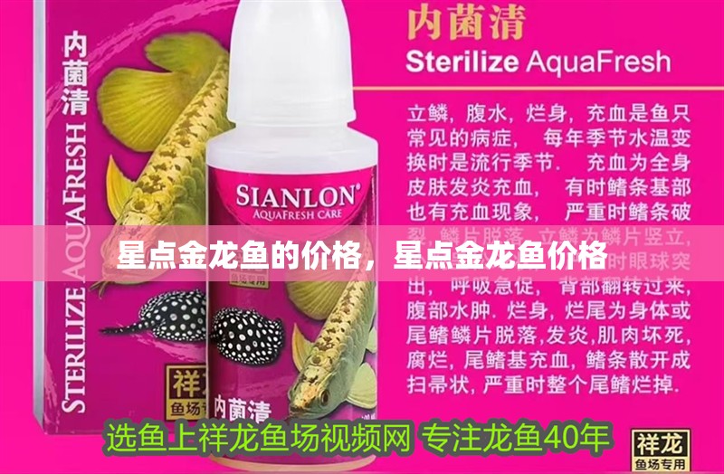 星點金龍魚的價格，星點金龍魚價格