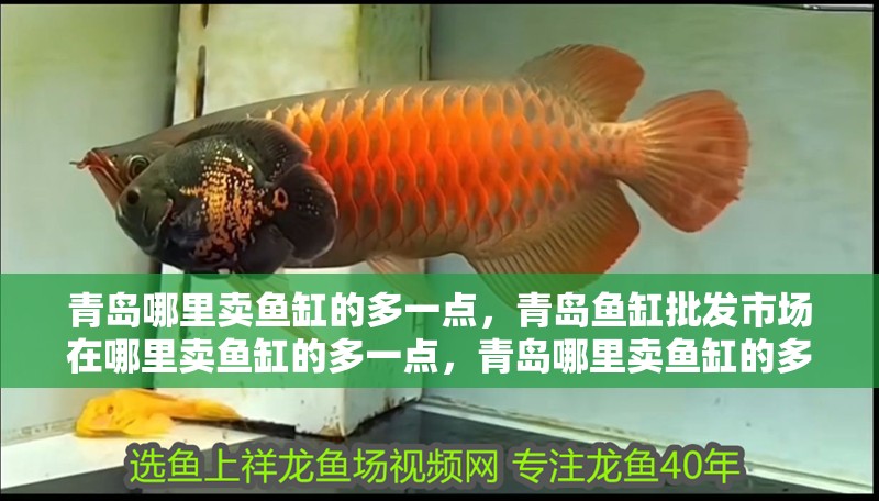 青島哪里賣魚缸的多一點，青島魚缸批發(fā)市場在哪里賣魚缸的多一點，青島哪里賣魚缸的多一點