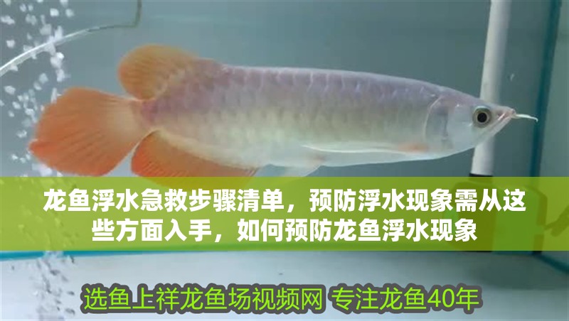 龍魚浮水急救步驟清單，預(yù)防浮水現(xiàn)象需從這些方面入手，如何預(yù)防龍魚浮水現(xiàn)象