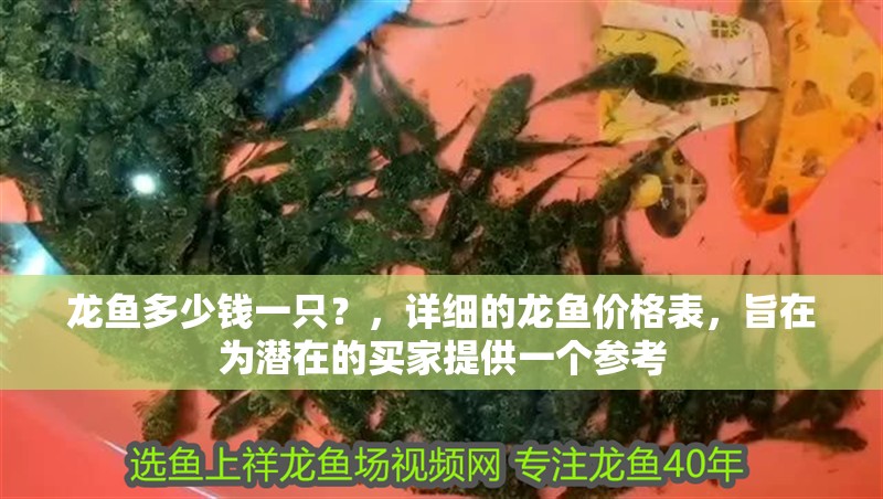龍魚多少錢一只？，詳細的龍魚價格表，旨在為潛在的買家提供一個參考 龍魚多少錢一只？，詳細的龍魚價格表，旨在為潛在的買家提供一個參考 龍魚百科