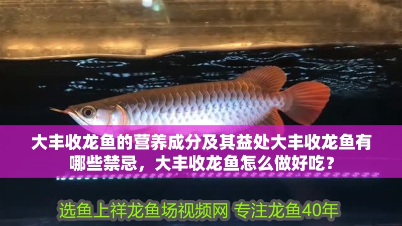 大豐收龍魚的營養成分及其益處大豐收龍魚有哪些禁忌，大豐收龍魚怎么做好吃？