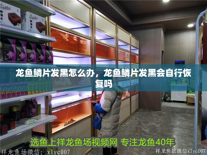 龍魚鱗片發黑怎么辦，龍魚鱗片發黑會自行恢復嗎