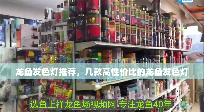 龍魚發色燈推薦，幾款高性價比的龍魚發色燈