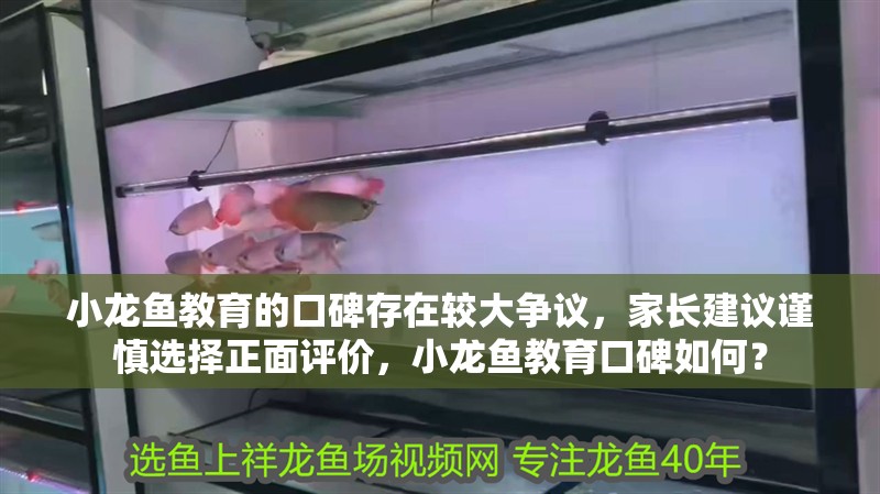 小龍魚教育的口碑存在較大爭議，家長建議謹慎選擇正面評價，小龍魚教育口碑如何？