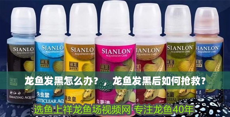 龍魚(yú)發(fā)黑怎么辦？，龍魚(yú)發(fā)黑后如何搶救？