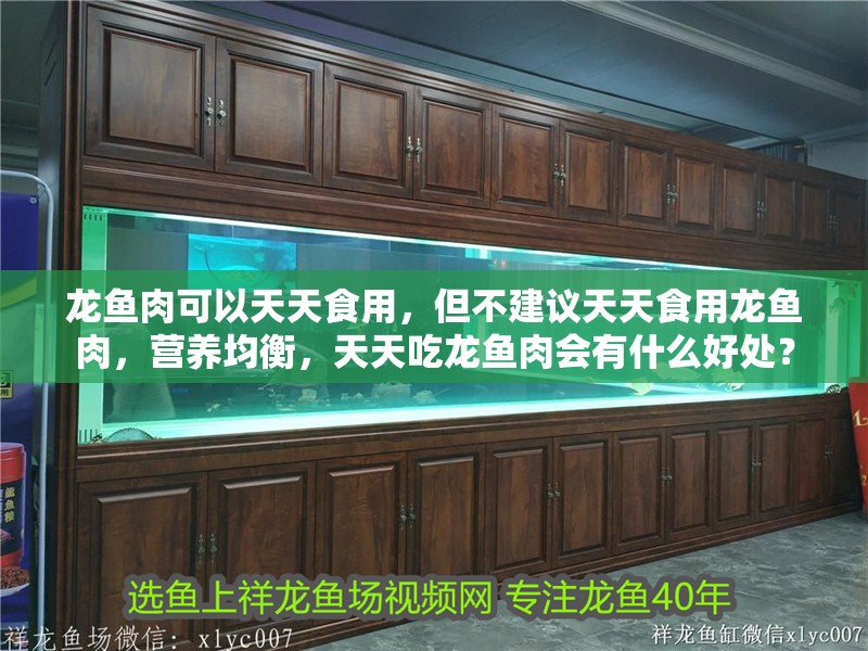 龍魚肉可以天天食用，但不建議天天食用龍魚肉，營養均衡，天天吃龍魚肉會有什么好處？